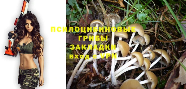 прущие крисы Ладушкин
